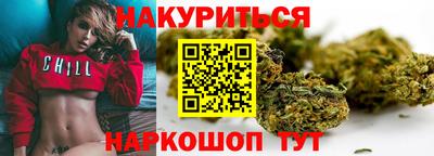 Альфа ПВП Кандалакша