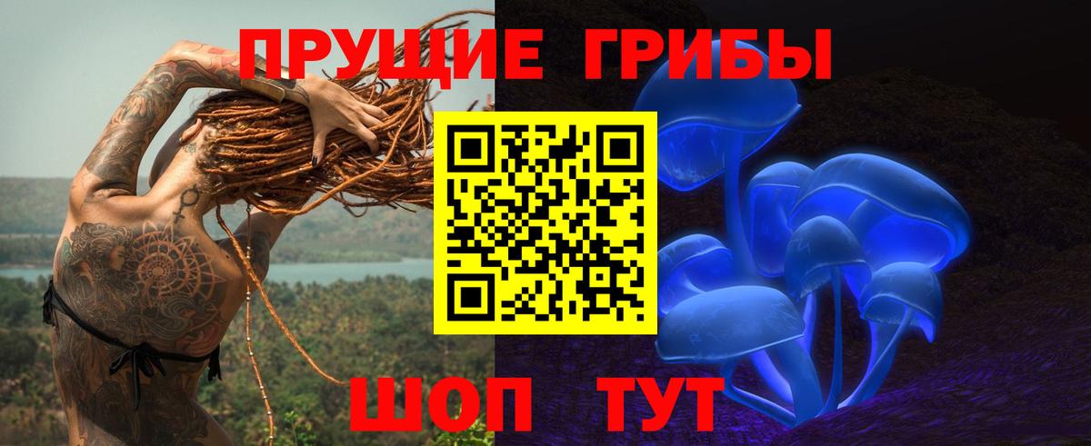 Галлюциногенные грибы Psilocybe  Вход с VPN  Лениногорск 